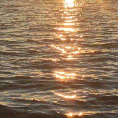 万博max体育注册